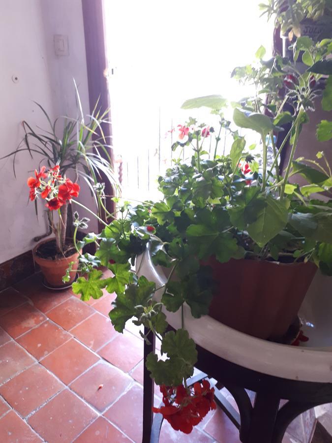 Hotel Fonda Del Tozal Teruel Zewnętrze zdjęcie